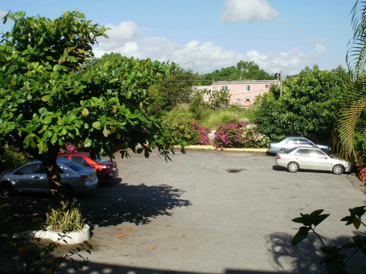 Pineapple Court Hotel Ocho Rios 2*,  Giamaica