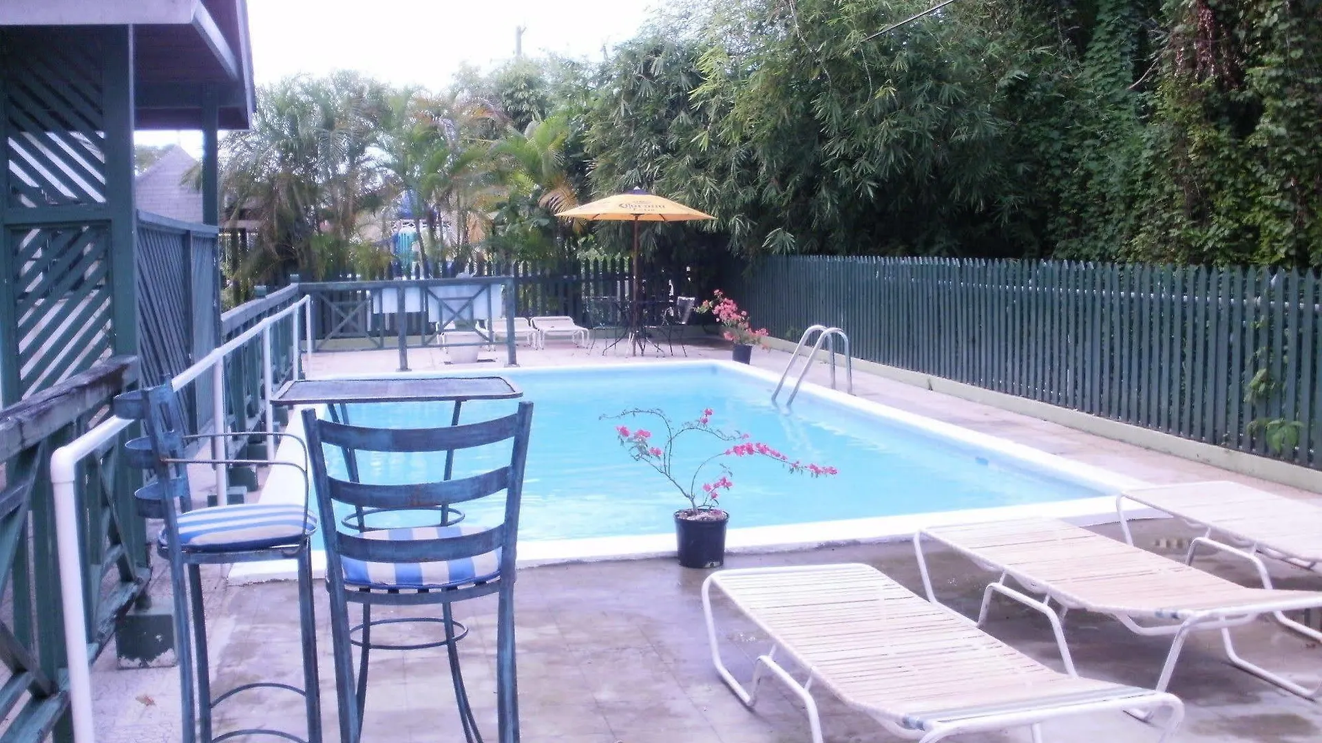 Pineapple Court Hotel Ocho Rios