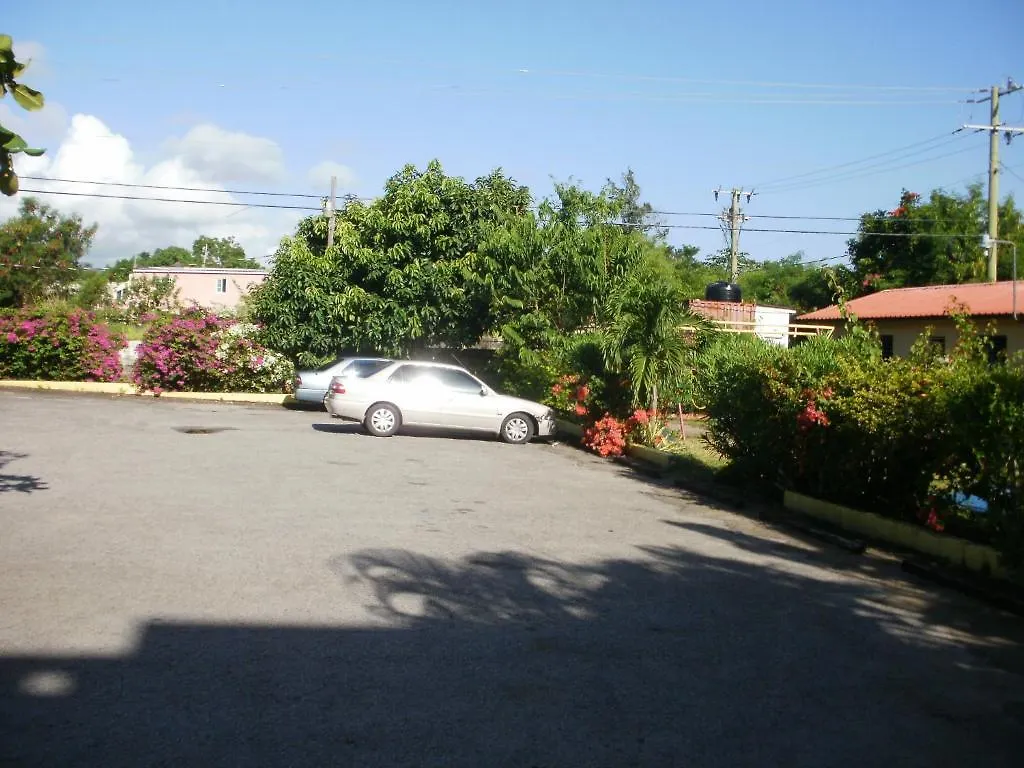 Pineapple Court Hotel Ocho Rios 2*,